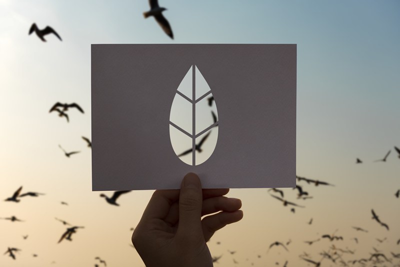 La politica ambientale di MEDE S.r.l.